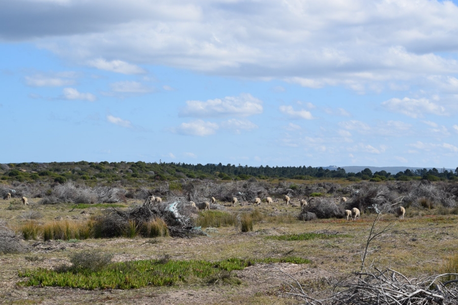  Bedroom Property for Sale in Stilbaai Rural Western Cape